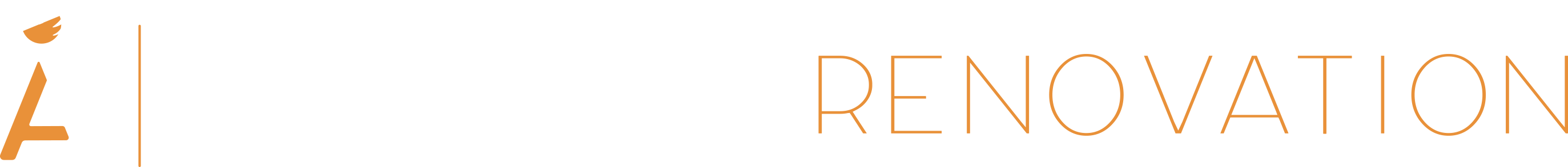 ARAMIS RENOVATION